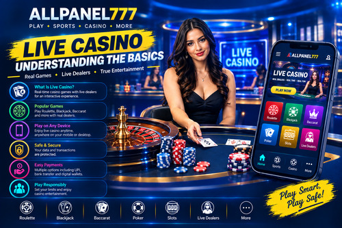 Live Casino: Understanding the Basics for Beginners